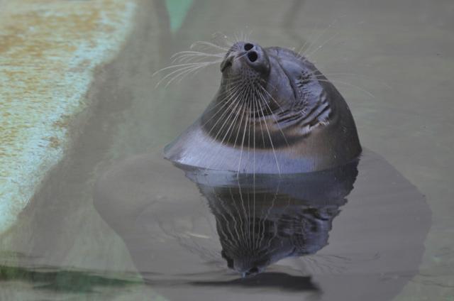 02.09.2011: Zoo Leipzig