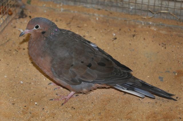 31.08.2012: Zoologická a botanická zahrada města Plzně