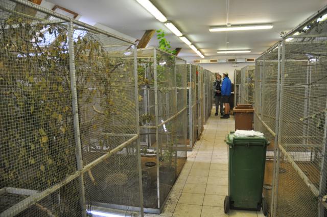 31.08.2012: Zoologická a botanická zahrada města Plzně