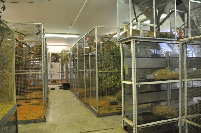 31.08.2012: Zoologická a botanická zahrada města Plzně
