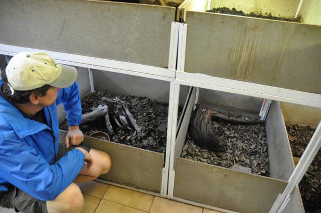 31.08.2012: Zoologická a botanická zahrada města Plzně