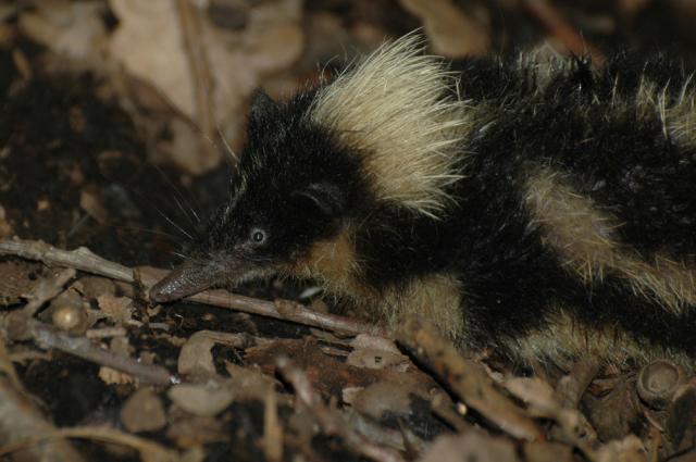 31.08.2012: Zoologická a botanická zahrada města Plzně