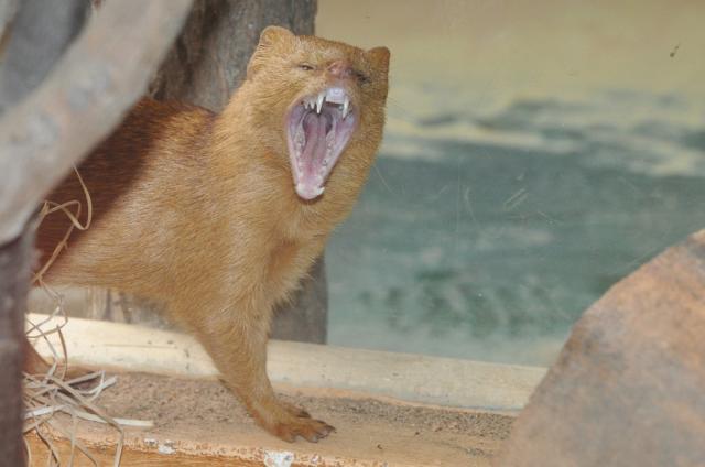 31.08.2012: Zoologická a botanická zahrada města Plzně
