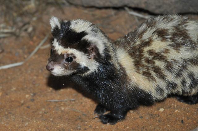 31.08.2012: Zoologická a botanická zahrada města Plzně