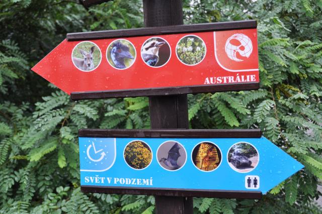 31.08.2012: Zoologická a botanická zahrada města Plzně