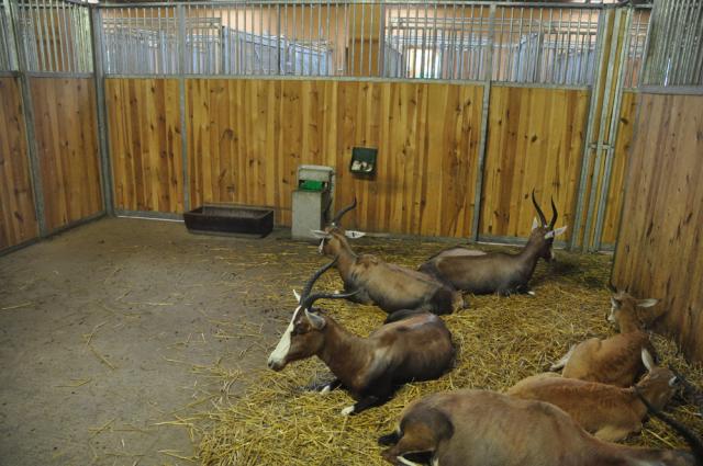 31.08.2012: Zoologická a botanická zahrada města Plzně