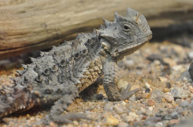 31.08.2012: Zoologická a botanická zahrada města Plzně