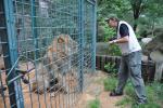 01.09.2012: Guided tour at Zoo Plzeň