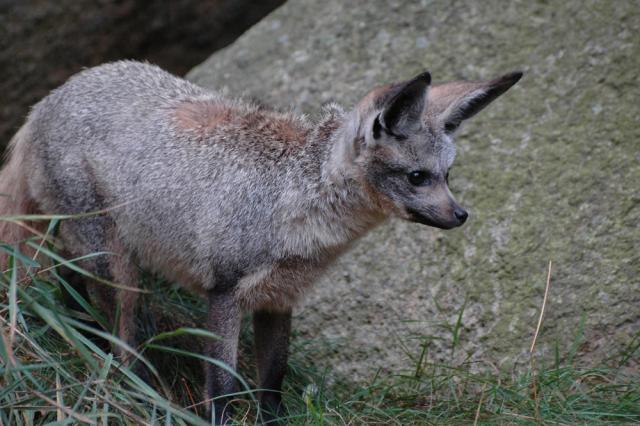 01.09.2012: Zoologická a botanická zahrada města Plzně