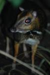 01.09.2012: Zoologická a botanická zahrada města Plzně