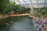 06.09.2014: Guided tour at Kölner Zoo