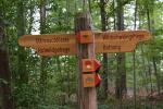 04.09.2015: Wildgehege an der Solitude