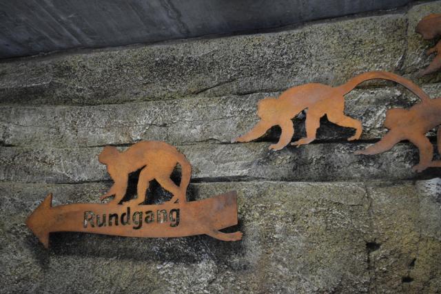 06.09.2014: Guided tour at Zoologischer Stadgarten Karlsruhe