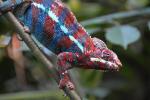 10.09.2016 Guided tour at Zoo Zürich