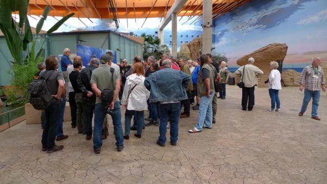 Zoohistorica 28 - Wroclaw 2017