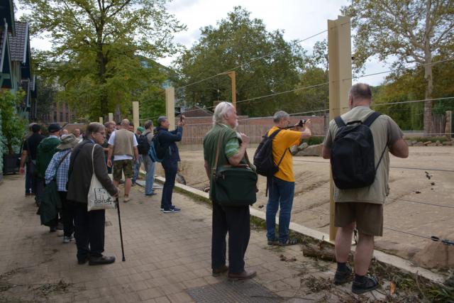 08.09.2018 Guided tour at Zoo Antwerpen