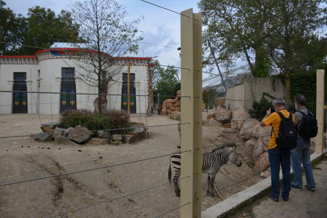 08.09.2018 Guided tour at Zoo Antwerpen