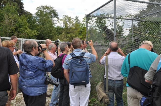 29.08.2009: Guided tour at Mulhouse Zoo