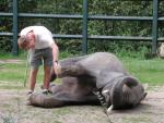 07.09.2002: Guided tour at Zoo Wuppertal