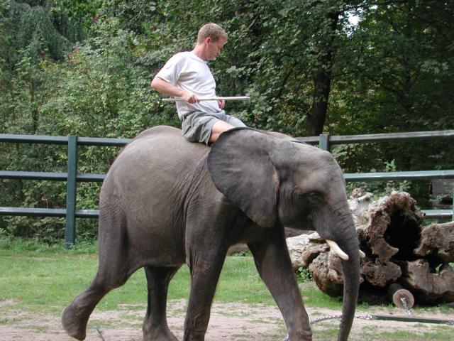 07.09.2002: Guided tour at Zoo Wuppertal