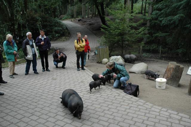 02.09.2007: Guided tour at Wildpark Schwarze Berge