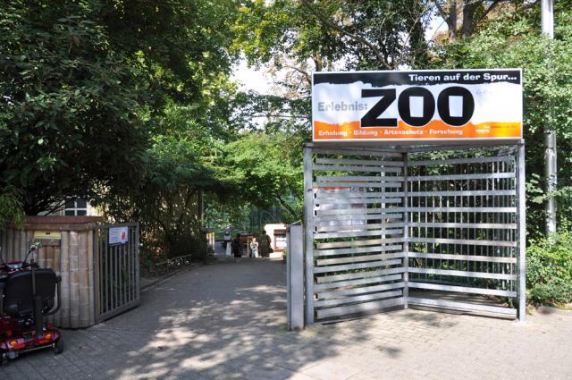 04.09.2010: Zoo Landau in der Pfalz