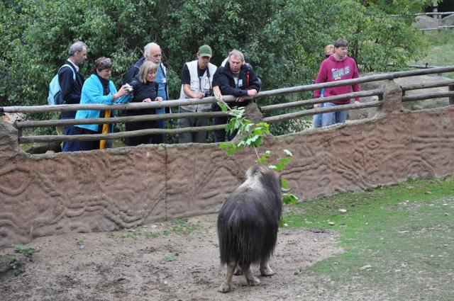 01.09.2012: Guided tour at Zoo Plzeň