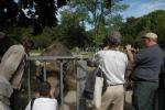 02.09.2006: Guided tour at Münchner Tierpark Hellabrunn