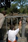 02.09.2006: Guided tour at Münchner Tierpark Hellabrunn
